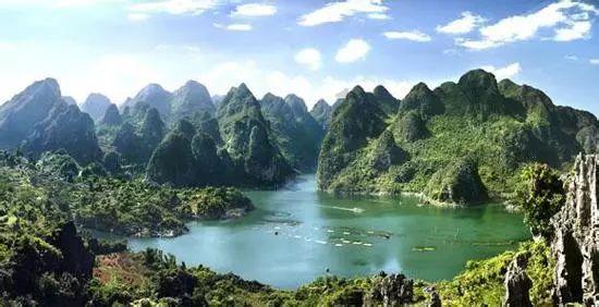 逃出蜜蜂岛